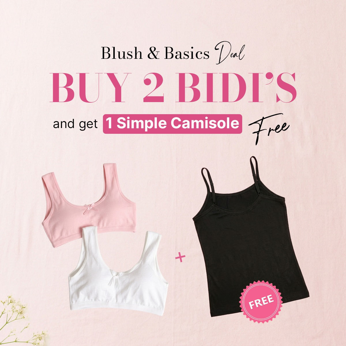 Blush & Basics Deal